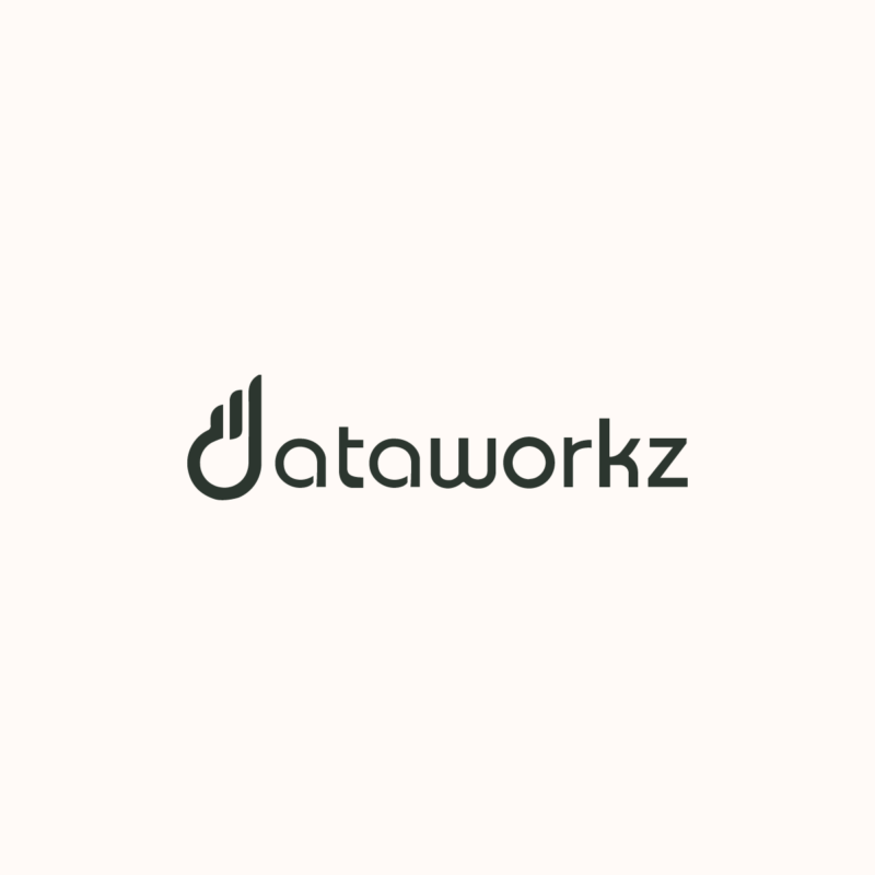 Dataworkz Logo